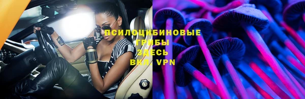 марки nbome Дмитриев
