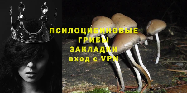 марки nbome Дмитриев