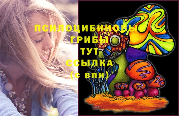 марки nbome Дмитриев