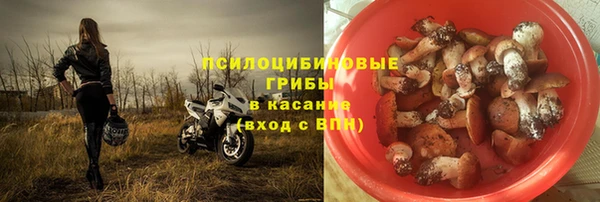 spice Рославль