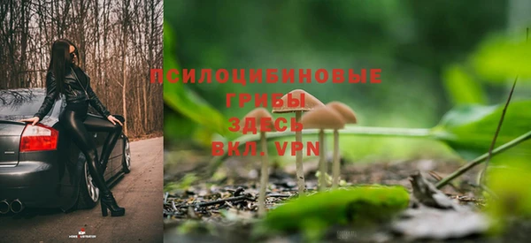 герыч Дмитровск