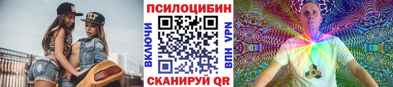 Псилоцибиновые грибы Psilocybe  Сасово 